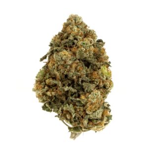 Animal Cookies