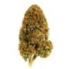 AAA - Orange Crush | 14g