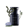 CELESTIAL CMPND | Minum 097 | Introspection, Inspiration, Awareness