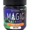Magic Mushroom Scooby Snacks - 250mg - Image 3