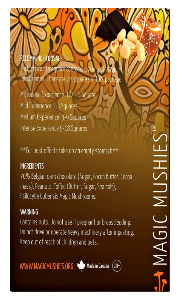 Magic Mushroom Peanut Toffee Crunch Dark Chocolate Bar 4000mg - Image 3