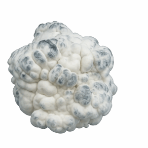 Nebula (Enigma) - Magic Mushrooms