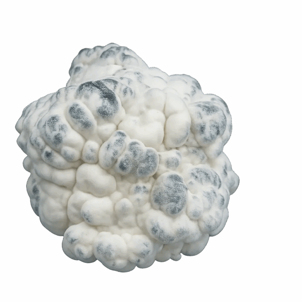 Nebula (Enigma) - Magic Mushrooms