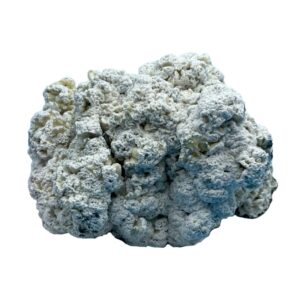 Nimbus Clouds (Enigma) - Magic Mushrooms