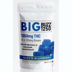 Big Buzz | Blue Raspberry | 1250mg