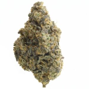 Blueberry Bang