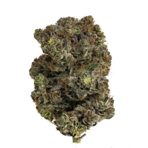 MK Ultra