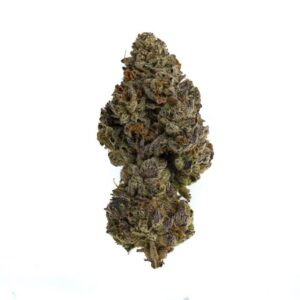 Rainbow Marker Strain