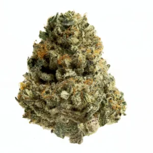 Blueberry Muffin Special - 28g